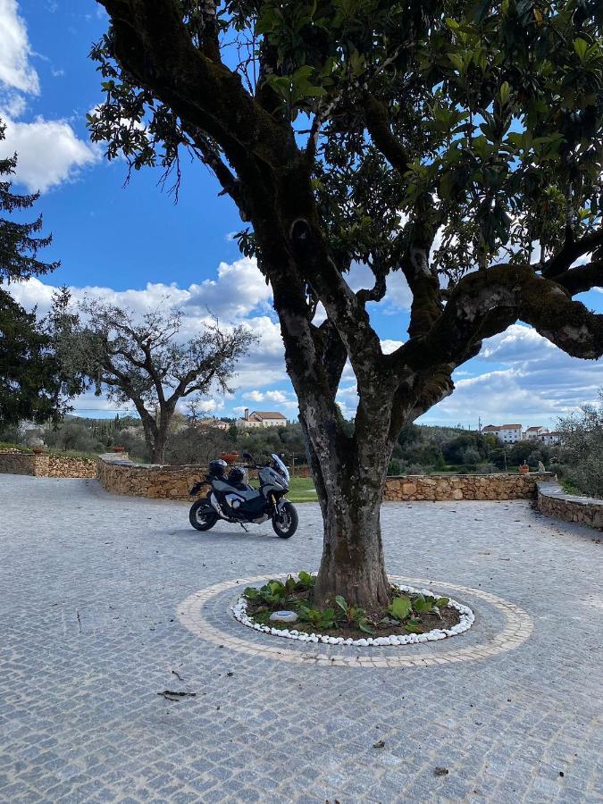 Quinta Da Rocha 1875 Villa Pedrógão Pequeno Екстериор снимка